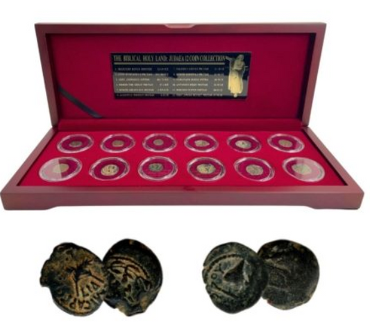Biblical Holy Land: Box of 12 Ancient Judaea Coins from the time of Jesus (Twelve-Coin Boxed Set)