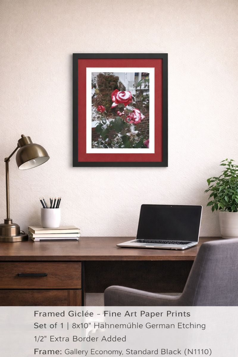 Fire Red Roses in an Ice Storm