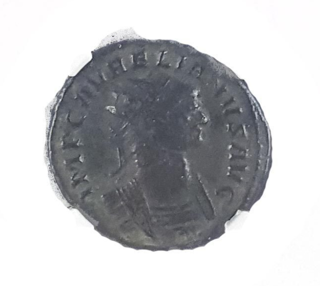 Aurelian: The Father of Christmas (Slab Box)