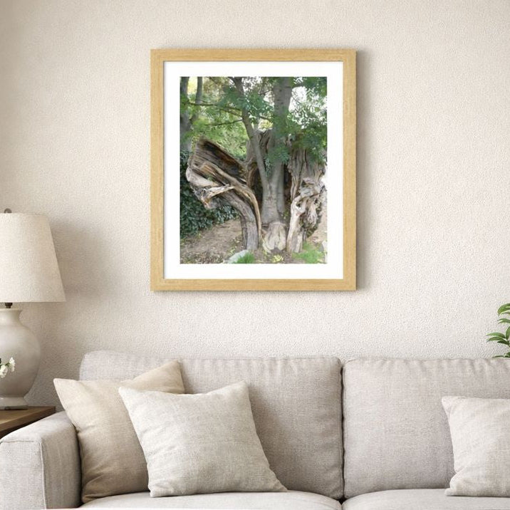 "He Changes The Heart" - Tree of Renewal Fine Art Wall Print