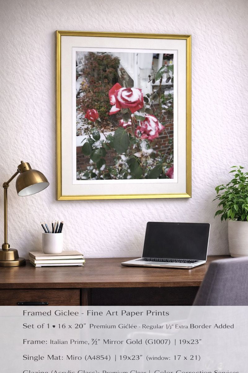 Fire Red Roses in an Ice Storm