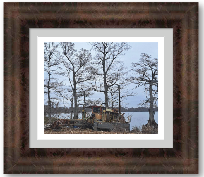 "Life on the Lake" - Part of the Silent Waters Collection