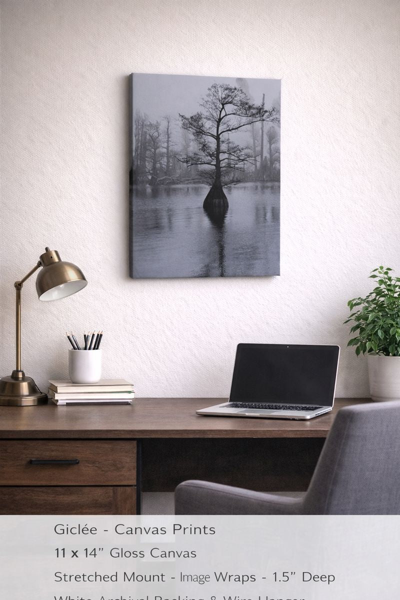 "Quiet Strength" Rooted in the still waters of Reelfoot Lake Tennessee