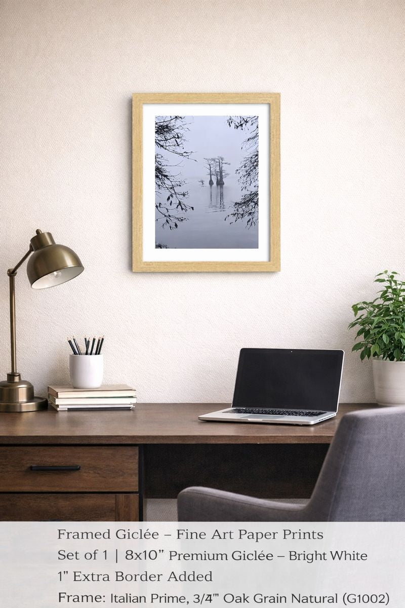 "Calming Mist" of the Reelfoot Lake