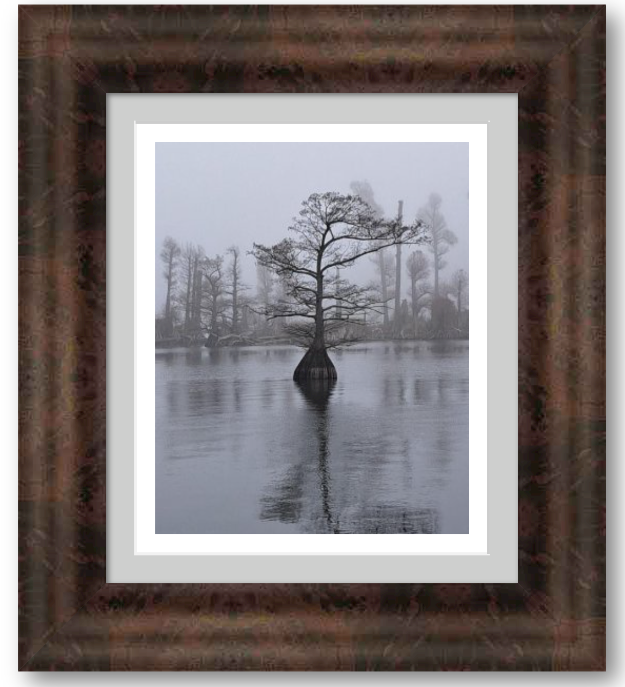 "Quiet Strength" - Part of the Still Waters Collection